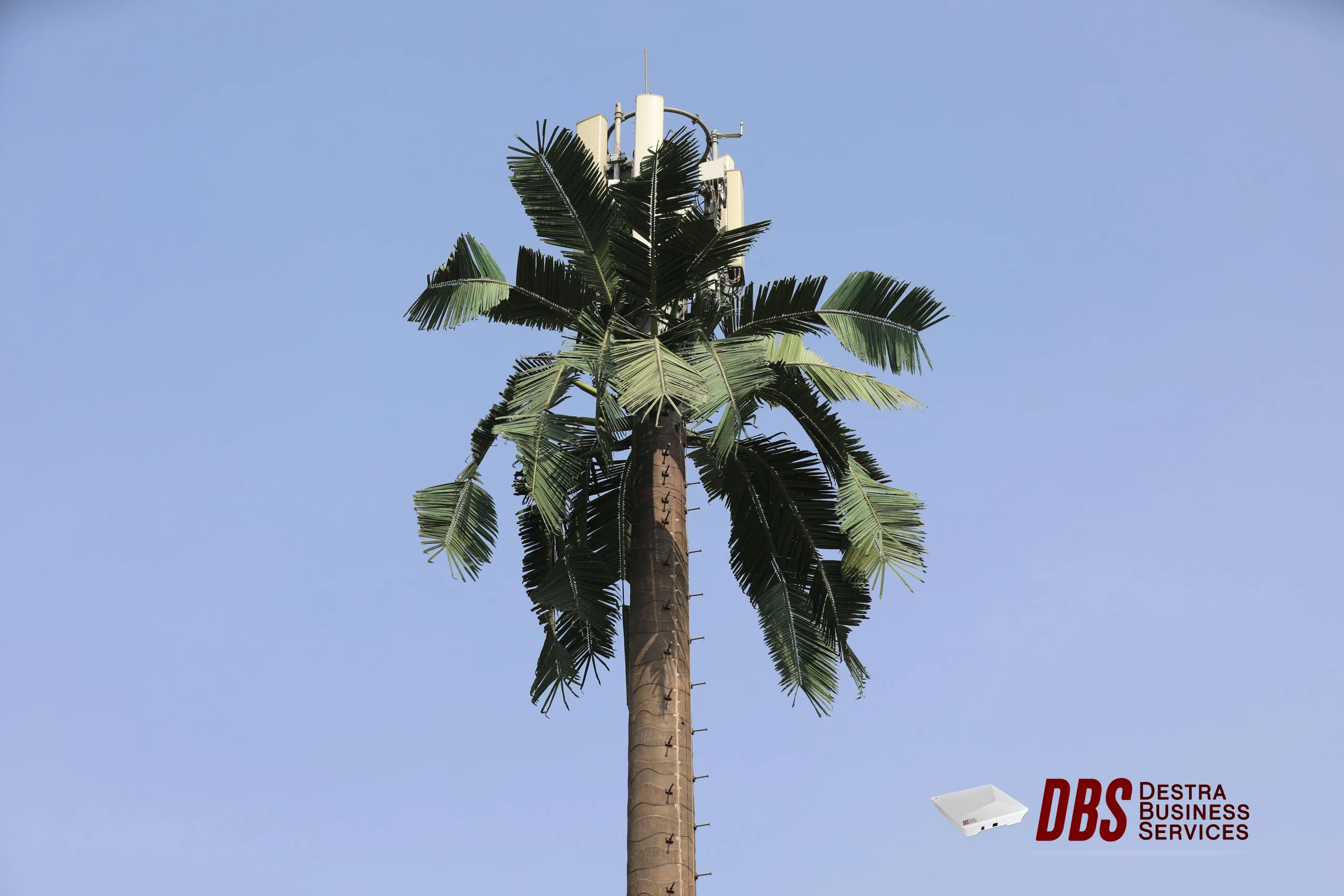Cellular palm tree - the Mobile Connect 2 uses cellular technology to ensure secure elevator communications